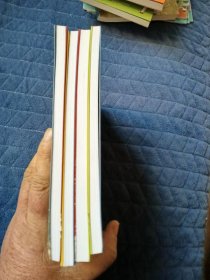 长袜子皮皮：教训鲨鱼、和警察玩游戏、打败大力士、想当海盗（4本合售）注音美绘版