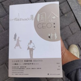 国企CEO 百花洲文艺出版社