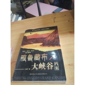 雅魯藏布大峽谷檔案