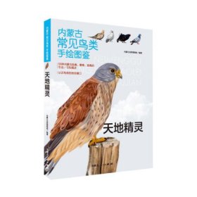正版✔《内蒙古常见鸟类手绘图鉴-天地精灵》 内蒙古自然博物馆✍正版全新书籍现货如需其他图书敬请联系客服:)