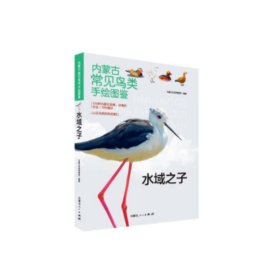 正版✔《内蒙古常见鸟类手绘图鉴-水域之子》 内蒙古自然博物馆✍正版全新书籍现货如需其他图书敬请联系客服:)