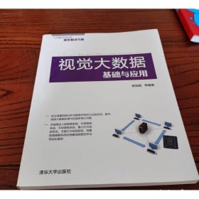 視覺大數(shù)據(jù)基礎(chǔ)與應(yīng)用