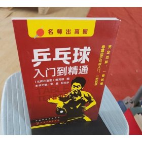 乒乓球入門到精通