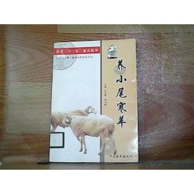 養(yǎng)小尾寒羊
