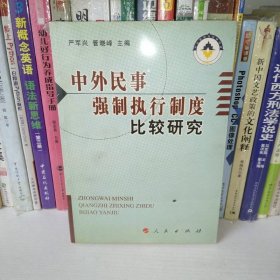 中外民事强制执行制度比较研究