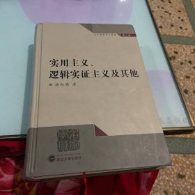 实用主义、逻辑实证主义及其他（第6卷）