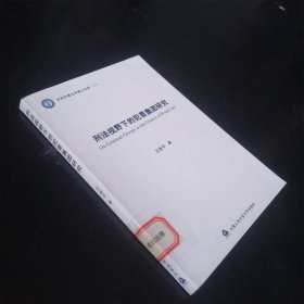 刑法视野下的犯罪集团研究