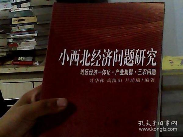 小西北经济问题研究：地区经济一体化产业集群三农问题