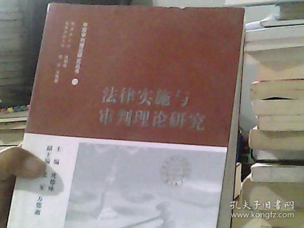 中国审判理论研究丛书：法律实施与审判理论研究