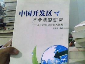 中国开发区产业集聚研究：基于跨国公司嵌入视角