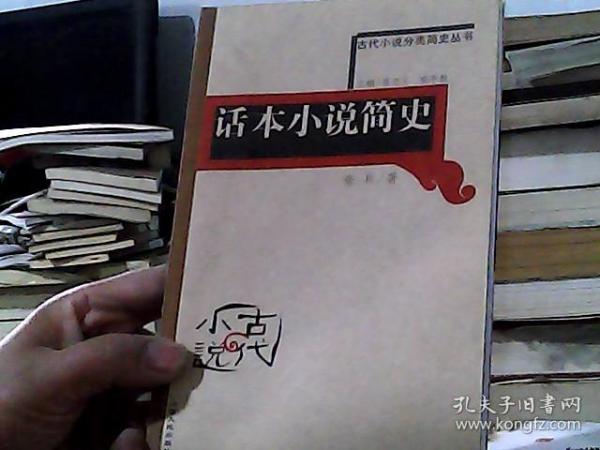 侠义公案小说简史——古代小说分类简史丛书