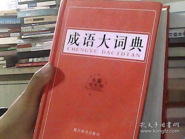 成语大词典（双色版）