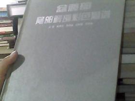 盆髋部局部解剖彩色图谱