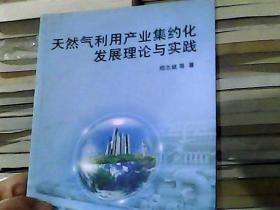 天然气利用产业集约化发展理论与实践