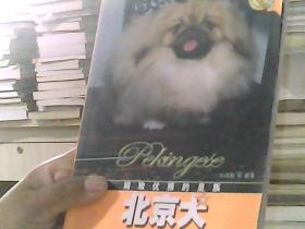精致优雅的皇族：北京犬