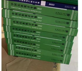 2022中国民族统计年鉴2024年出版