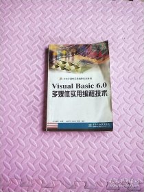 Visual Basic 6.0多媒体实用编程技术