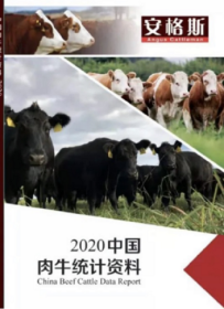 新书现货2021年中国肉牛统计资料2020奶业开发票