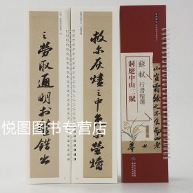 苏轼行书精选 洞庭中山二赋经典碑帖近距离临摹练字卡