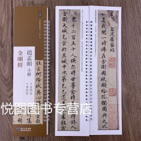 赵孟頫金刚经 经典碑帖近距离临摹练字卡