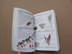 药用植物：全世界700种以上药用植物的彩色图鉴