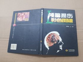 颅脑损伤彩色图谱.