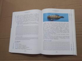 南海鱼类图鉴及条形码（第一册）
