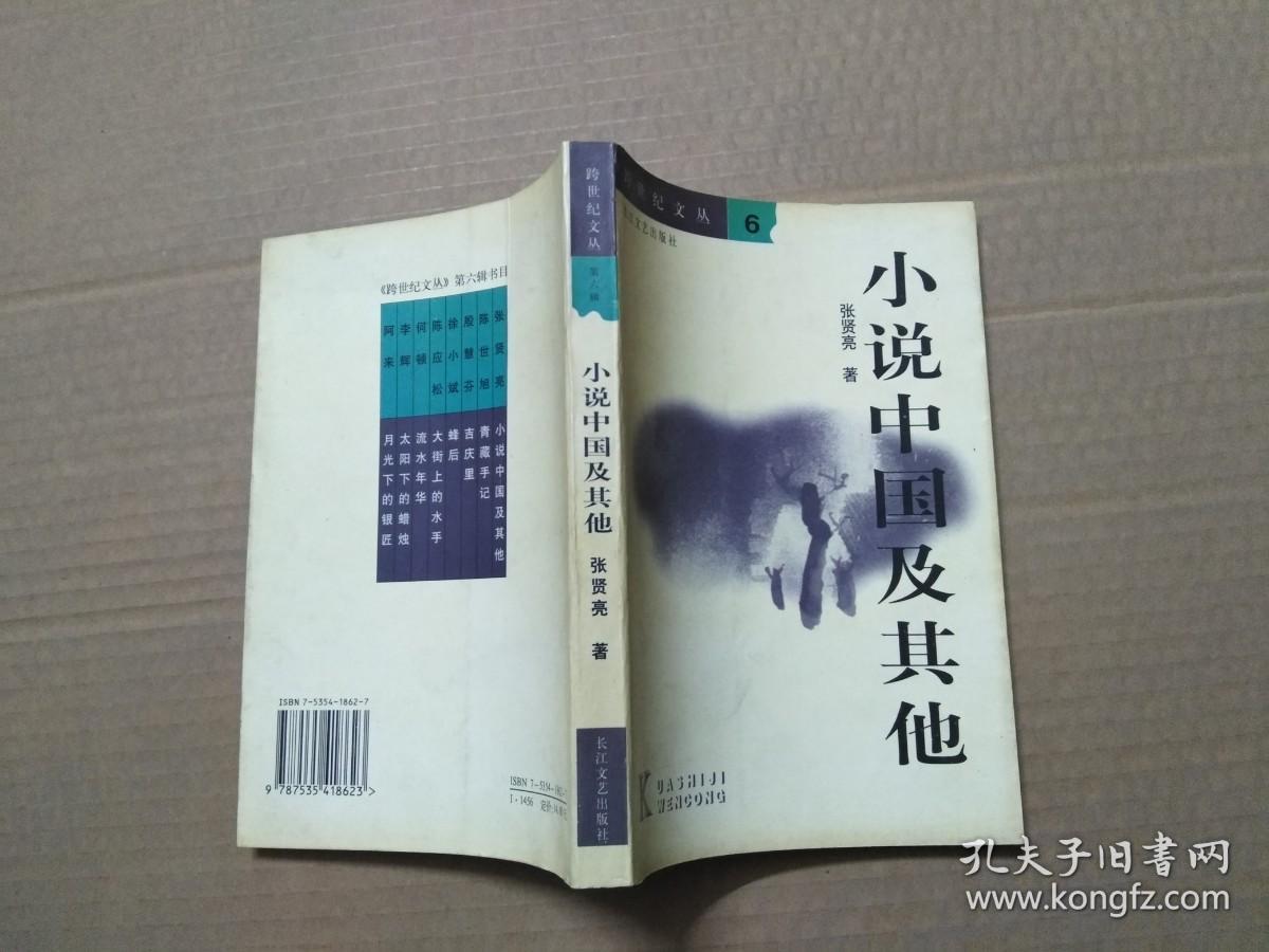 小说中国及其他