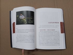 藏茶者：大众茶友说普洱.