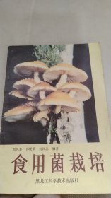 食用菌栽培