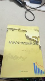 财务会计典型案例分析