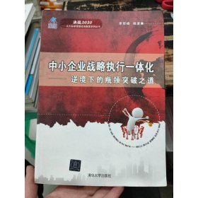 中小企業(yè)戰(zhàn)略執(zhí)行一體化：逆境下的瓶頸突破之道（決戰(zhàn)2020：北大縱橫管理咨詢集團）