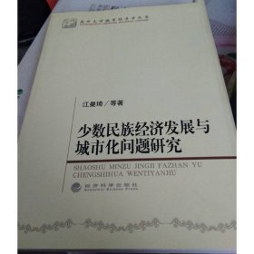 少数民族经济发展与城市化问题研究
