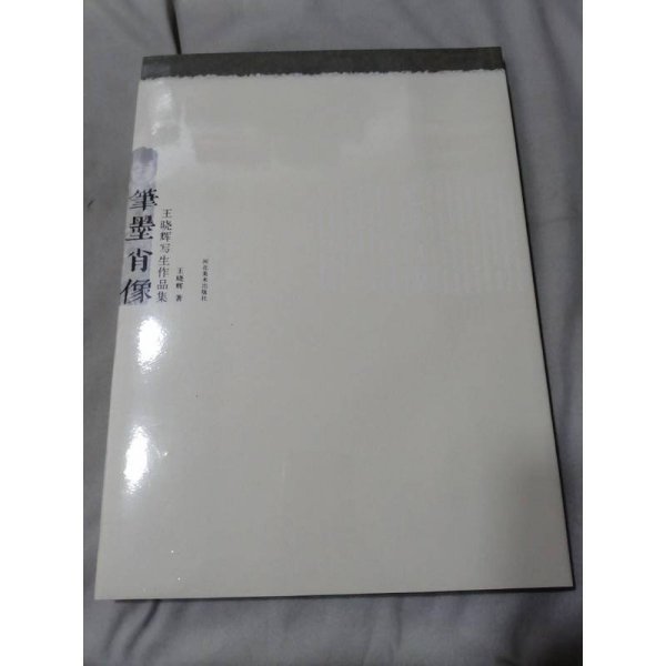 王晓辉写生作品集：笔墨肖像