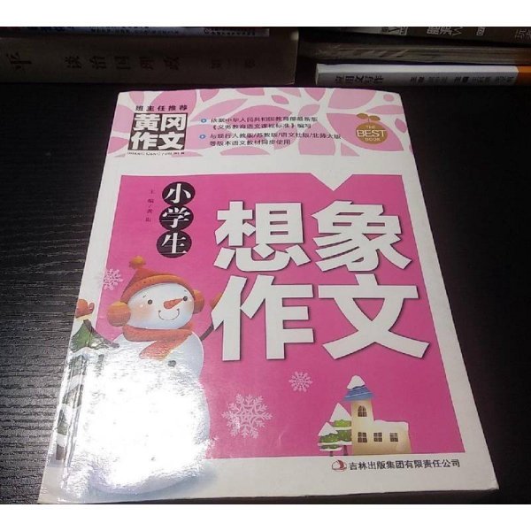 黄冈作文-小学生想象作文