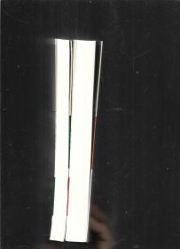 上杭诗群作品集  寄杭城 +圣地的乡愁【2本】合售