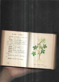 实用中草药 1970年福建龙溪版，彩色草药图