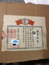 1951年，福建古田县玉屏中心小学毕业证书，毛主席像版本【同一人3张】合售