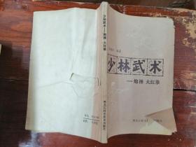 少林武术炮捶大红拳