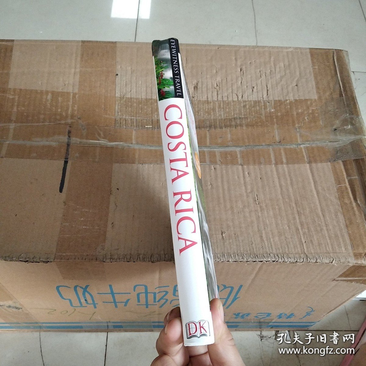 rica Costa DKEyewitnessTravelGuide: