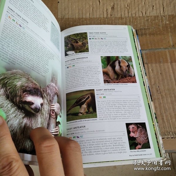 rica Costa DKEyewitnessTravelGuide: