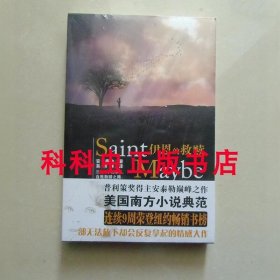 伊恩的救赎 普利策奖得主安妮泰勒美国南方小说 长江文艺出版社