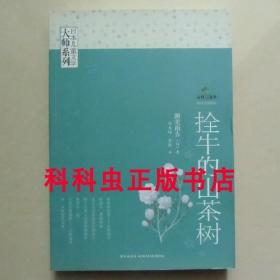 拴牛的山茶树 新美南吉 新星出版社 日本儿童文学大师五叶草文丛