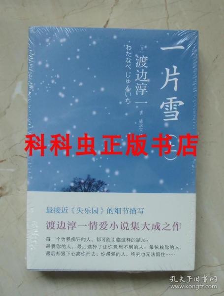 一片雪（全两册）