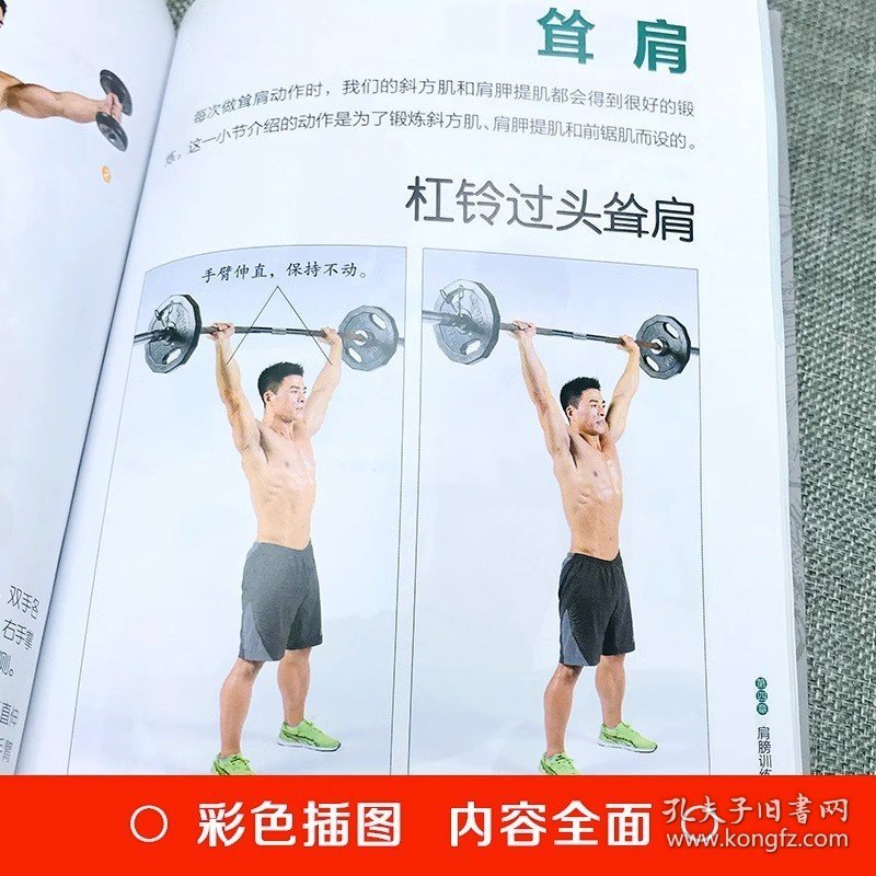 肌肉健美训练图解德拉威尔肌力量运动解剖学图谱健身书籍教程大全pdf 私人教练徒手精准拉伸训练体能三角肌训练书