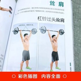 肌肉健美训练图解德拉威尔肌力量运动解剖学图谱健身书籍教程大全pdf 私人教练徒手精准拉伸训练体能三角肌训练书