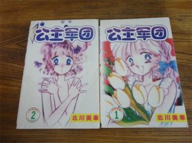 《公主军团》漫画书远方出版社全2册。