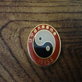 上世纪90年代辽宁省太极拳协会会员铜制像章。