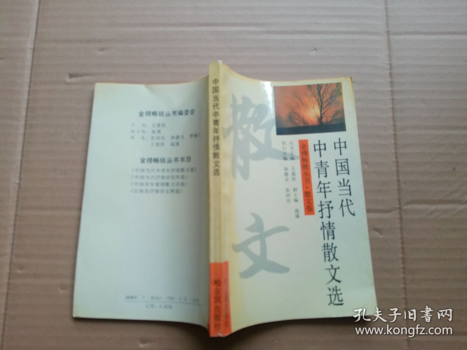 中国当代中青年抒情散文选