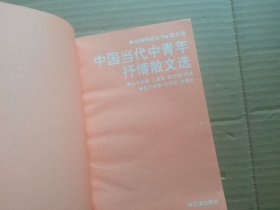 中国当代中青年抒情散文选